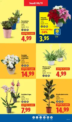 Prévisualisation de Catalogue de la semaine 45 du magasin LIDL formulaire valide 06/11/2025 | Page: 39