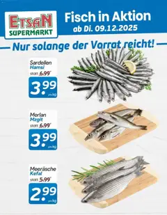 Vorschau der Angebote: ETSAN Fisch in Aktion gültig ab 09.12.2025