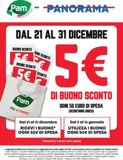 Anteprima dell'opuscolo Volantino Buono sconto dal negozio Panorama valido da 21/12/2025