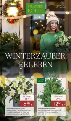 Vorschau von dem Prospekt des Geschäftes Pflanzen-Kölle, gültig ab dem 03.11.2025