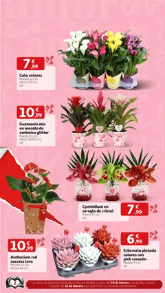 Vista previa del folleto de la tienda Alcampo válido desde el 02/02/2026 