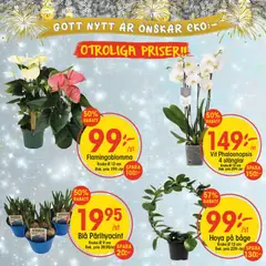 Förhandsgranska reklamblad Black Friday varsel från butik EKO gäller från 29/12/2025