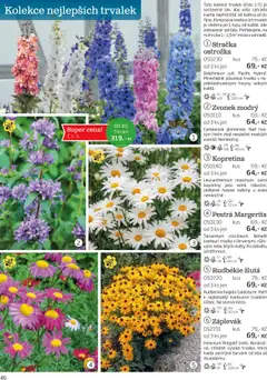 Náhled nabídky: Starkl Katalog podzim 2025 platný od 01.08.2025 | Strana: 46