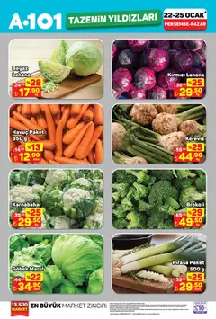 A101 Tazenin Yıldızları 22.01.2026 - Broşürünün önizlemesi
