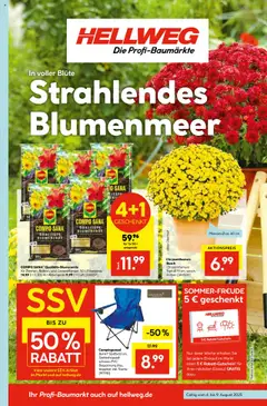 Vorschau von dem Prospekt des Geschäftes Hellweg, gültig ab dem 04.08.2025