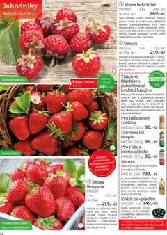 Náhled nabídky: Starkl Katalog podzim 2025 platný od 01.08.2025 | Strana: 12