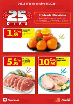 Vista previa del folleto de la tienda Alcampo válido desde el 13/10/2025 