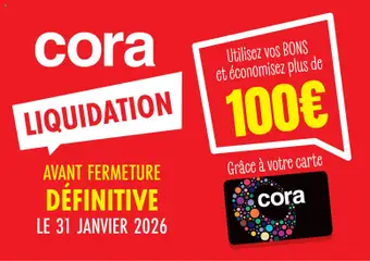 Prévisualisation de Publicité du magasin Cora formulaire valide 18/11/2025