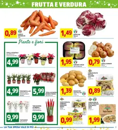 Anteprima dell'opuscolo Attuale volantino dal negozio D Più valido da 11/12/2025 | Pagina: 7