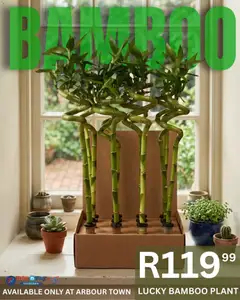 Preview of Take n Pay flyer valid from 25/03/2026