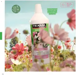 Prévisualisation de Catalogue du magasin Texam formulaire valide 01/02/2025 | Page: 16