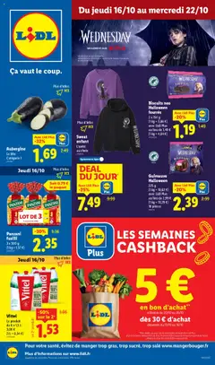 Prévisualisation de Catalogue de la semaine 42 du magasin LIDL formulaire valide 16/10/2025