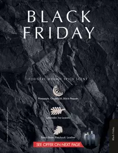 Preview of Justine flyer valid from 01/11/2025 | Page: 101