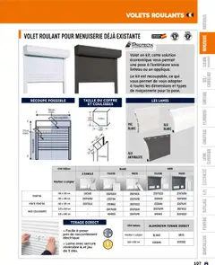 Prévisualisation de Catalogue du magasin Bricoman formulaire valide 19/03/2025 | Page: 107