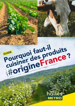 Prévisualisation de Guide Origine France du magasin METRO formulaire valide 25/02/2025