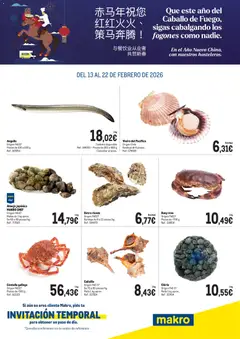 Vista previa del folleto de la tienda Makro válido desde el 13/02/2026 