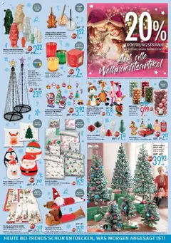 Vorschau von dem Prospekt des Geschäftes Trends, gültig ab dem 10.10.2025 | Seite: 6