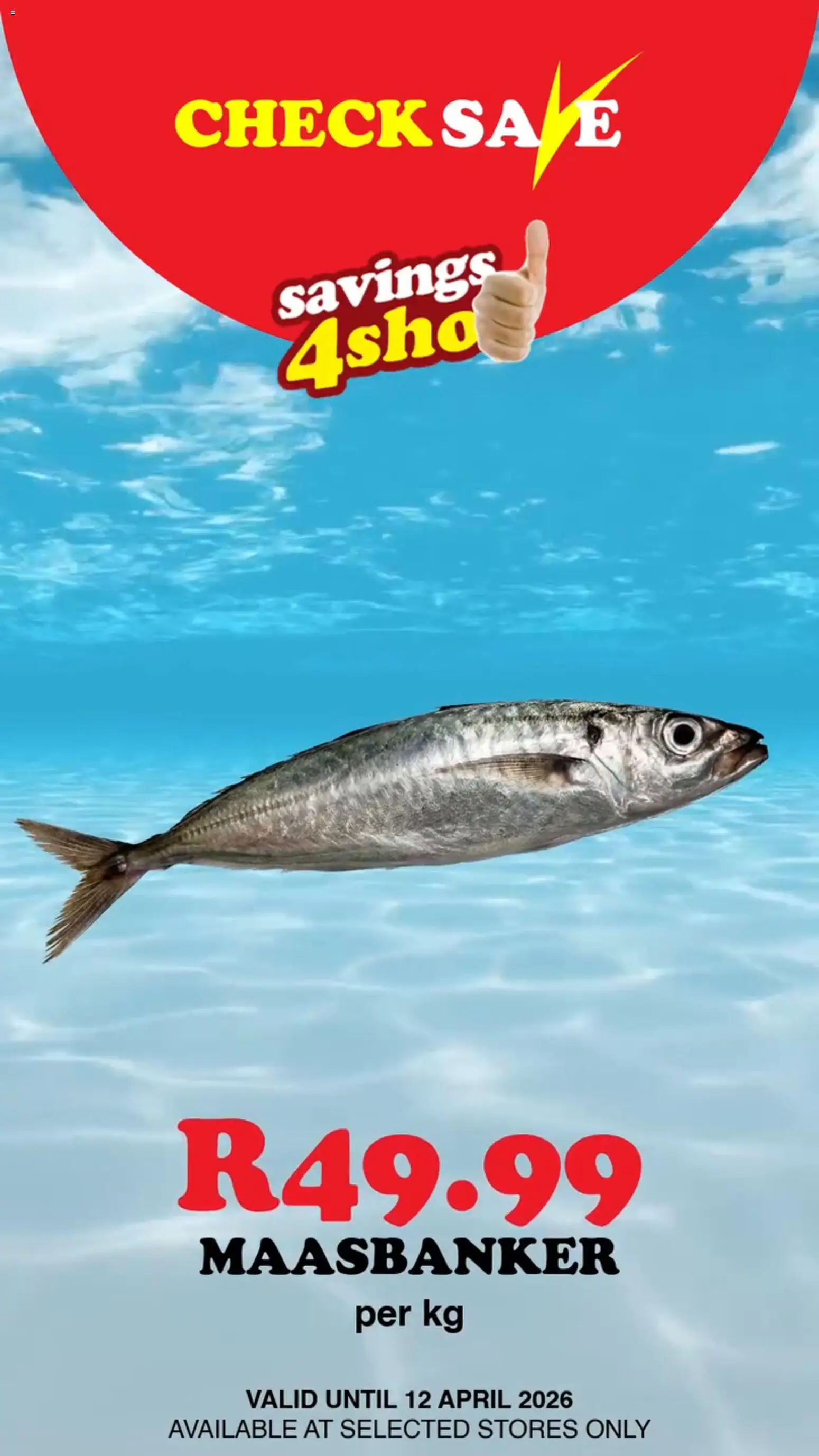 Preview of Check Save flyer valid from 07/04/2026