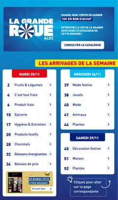 Prévisualisation de Catalogue de la semaine 48 du magasin Aldi formulaire valide 25/11/2025 | Page: 3