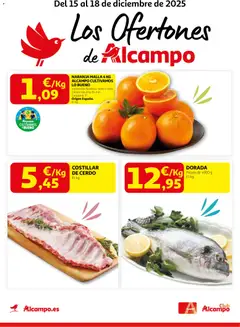 Vista previa del folleto de la tienda Alcampo válido desde el 15/12/2025 