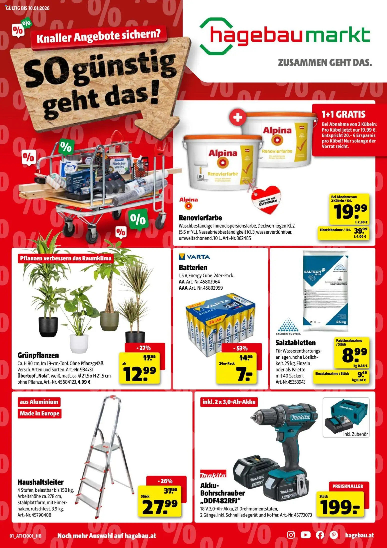 Vorschau der Angebote: Hagebau Flugblatt gültig ab 29.12.2025