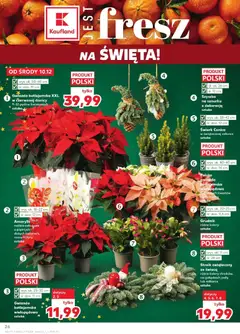 Pogląd gazetki "Nowa gazetka" ze sklepu Kaufland ważnej od 10.12.2025 | Strona: 26