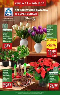 Pogląd gazetki "Kwiaty w super cenach" ze sklepu Aldi ważnej od 06.11.2025