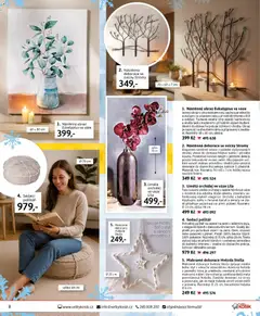 Náhled nabídky: Velký Košík Katalog prosinec 2025 platný od 01.12.2025 | Strana: 8