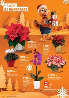 OBI - Akciós újság OBI megtekintése, amely érvényes 2025.11.05.-től | Oldal: 8