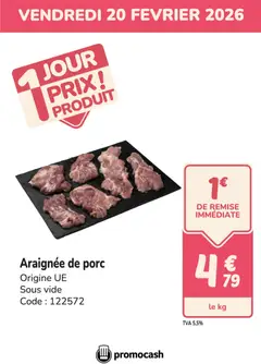 Prévisualisation de PROMO araignée du magasin Promocash formulaire valide 20/02/2026
