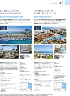 Vorschau von dem Prospekt des Geschäftes Aida, gültig ab dem 01.01.2026 | Seite: 239