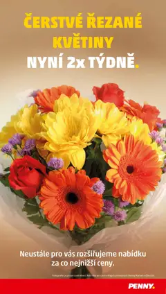 Náhled nabídky: Penny Market Čtvrtečník platný od 04.12.2025 | Strana: 36