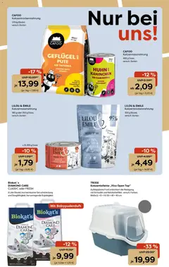 Vorschau von dem Prospekt des Geschäftes Zoo & co, gültig ab dem 01.12.2025 | Seite: 6