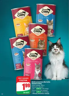 Pogląd gazetki "Gazetka" ze sklepu Dino ważnej od 29.10.2025 | Strona: 62