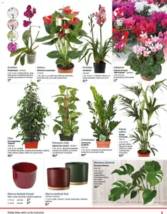 Náhľad Bauhaus letáku platného od 03.11.2025 | Strana: 5