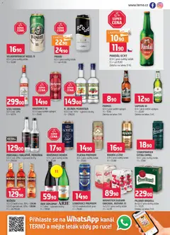 Náhled nabídky: Terno Leták platný od 05.11.2025 | Strana: 13