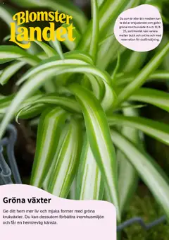 Förhandsgranska reklamblad Aktuella reklamblad Blomsterlandet från butik Blomsterlandet gäller från 11/08/2025