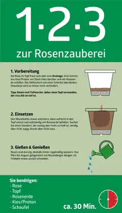 Vorschau der Angebote: bellaflora 1-2-3 zur Rosenzauberei gültig ab 13.02.2023