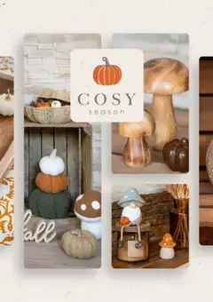 Prévisualisation de Catalogue Cosy season du magasin B&M formulaire valide 27/08/2025