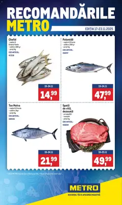 Previzualizarea de cataloage: Metro Catalog nou valabil de la 17.11.2025