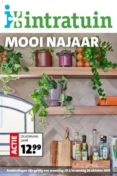 Voorbeeld van Folder van winkel Intratuin geldig vanaf 20-10-2025