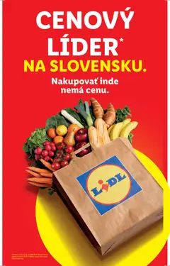 Náhľad Lidl letáku platného od 09.03.2026