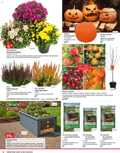 Náhľad Bauhaus letáku platného od 06.10.2025 | Strana: 2