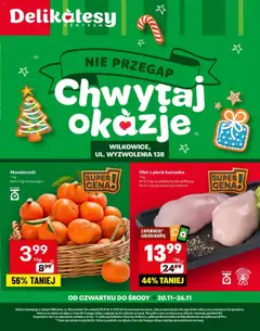 Pogląd gazetki "Wilkowice Otwarcie" ze sklepu Delikatesy Centrum ważnej od 20.11.2025