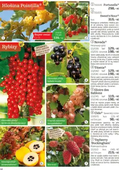 Náhled nabídky: Starkl Katalog podzim 2025 platný od 01.08.2025 | Strana: 14