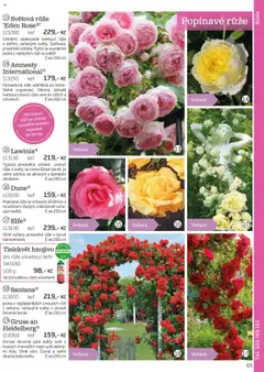 Náhled nabídky: Starkl Katalog podzim 2025 platný od 01.08.2025 | Strana: 65