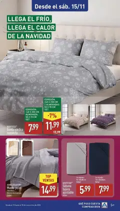 Vista previa del folleto de la tienda Aldi válido desde el 10/11/2025 | Página: 47