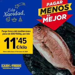 Vista previa del folleto de la tienda Cash Fresh válido desde el 29/12/2025 