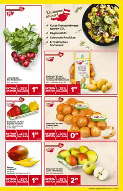 Vorschau der Angebote: Billa Prospekt aktuell gültig ab 30.10.2025 | Seite: 13