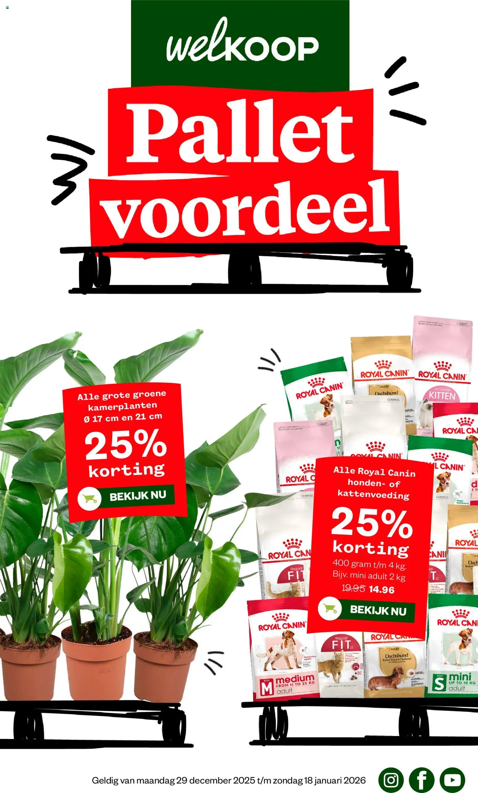 Voorbeeld van Folder van winkel Welkoop geldig vanaf 29-12-2025